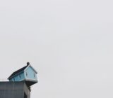 Humor and community management: good cocktail?